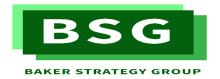 Baker Strategy Group logo, text is BSG over green rectangle