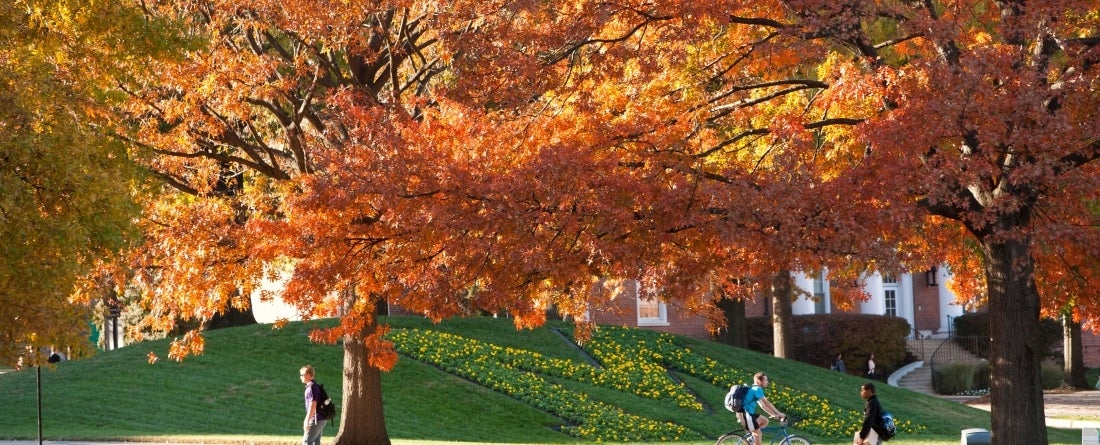 m circle in the fall