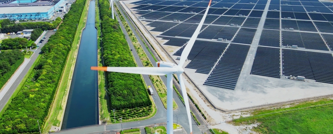 picture f windmills and panels