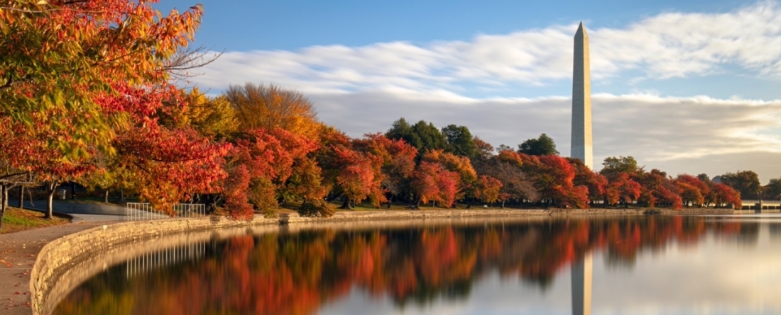 picture of the Washington Memorial 