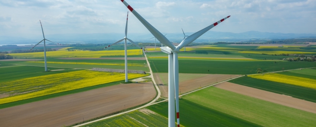 picture of wind farm in a field