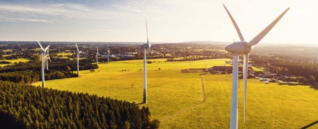 picture of wind farm in a field