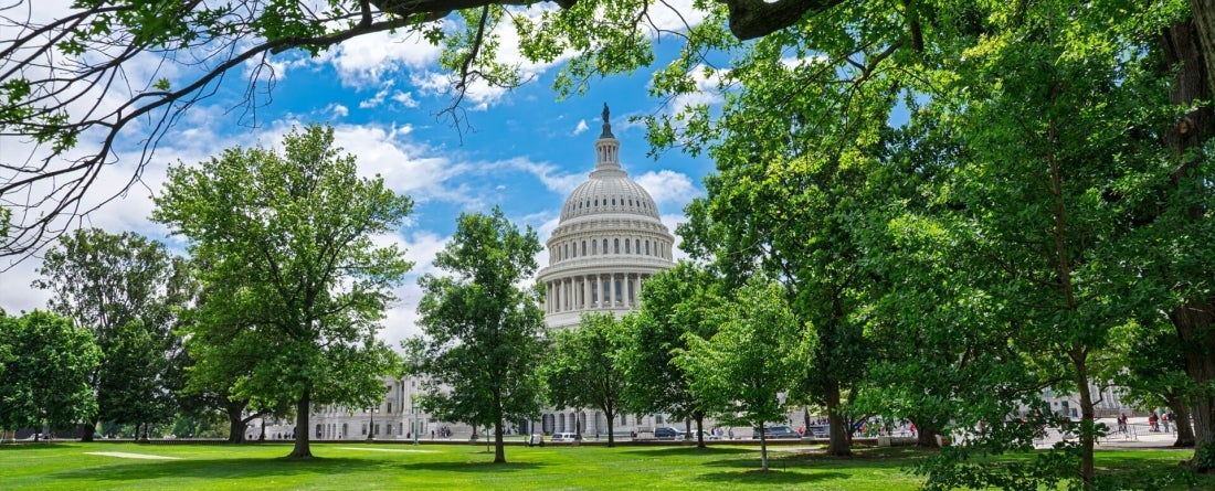 US Capitol Building with greenery in foreground