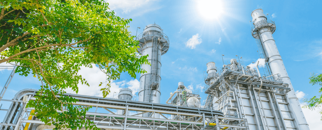 An industrial facility with a green tree in the foreground on a clear day with blue skies.